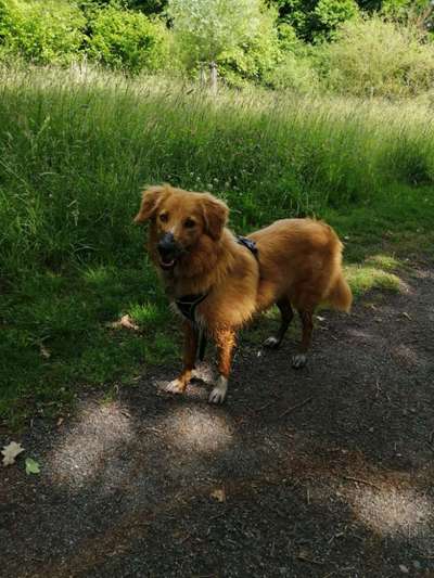 Immer lächeln !-Beitrag-Bild