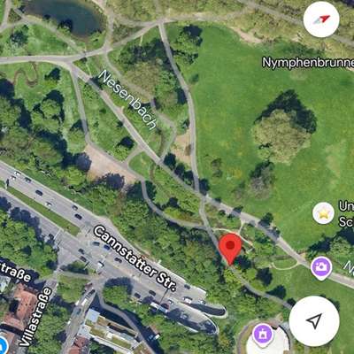 Giftköder-Eichenprozessionsspinner im Schlossgarten-Bild