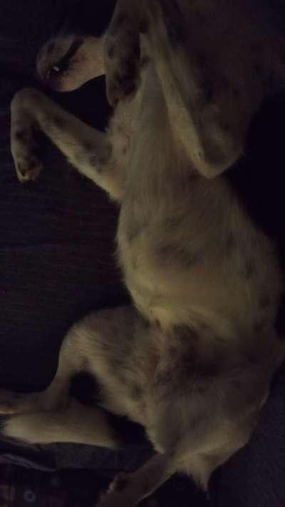 Fotochallenge Nr.65-Beitrag-Bild