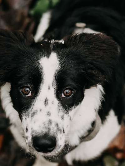 Fotochallange Nr. 57     PORTRÄT.   Beendet!!!!!!!!-Beitrag-Bild