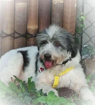 Gibts hier Mioritic Besitzer?-Beitrag-Bild