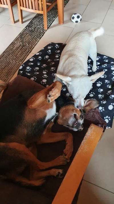 Fotochallenge Nr. 62 Romantische Momente-Beitrag-Bild