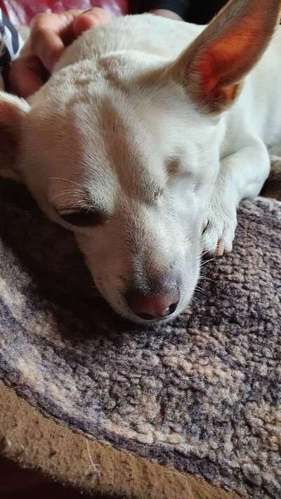 Fotochallange Nr. 57     PORTRÄT.   Beendet!!!!!!!!-Beitrag-Bild