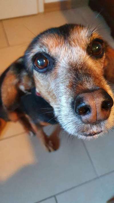 Fotochallange Nr. 57     PORTRÄT.   Beendet!!!!!!!!-Beitrag-Bild