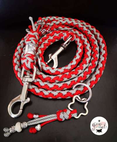 Bastelstunde für den Vierbeiner-Beitrag-Bild