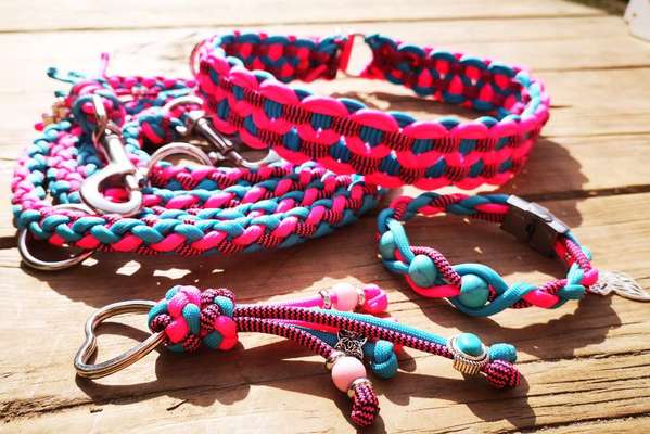 Bastelstunde für den Vierbeiner-Beitrag-Bild