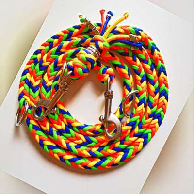 Bastelstunde für den Vierbeiner-Beitrag-Bild