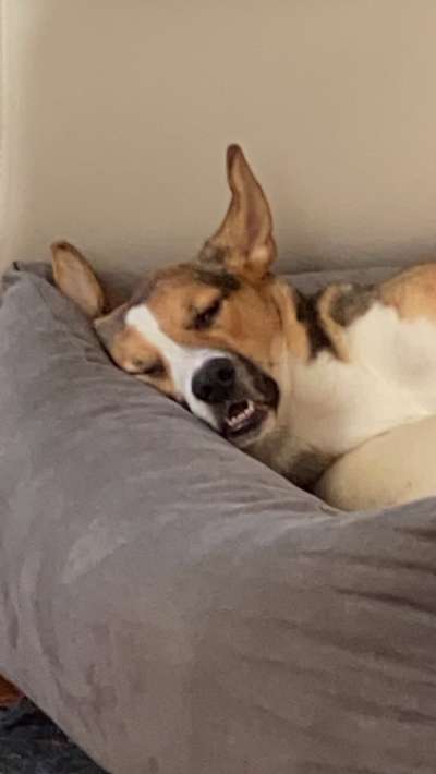 Die unbequemsten und lustigsten Schlafpositionen-Beitrag-Bild