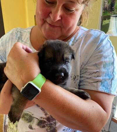 Welpen Bilder !-Beitrag-Bild