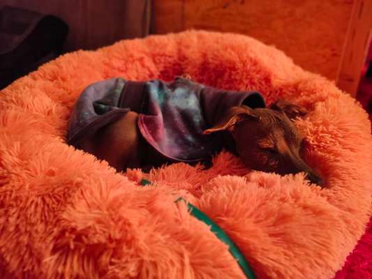 Erfahrung mit Wolkenbett-Beitrag-Bild