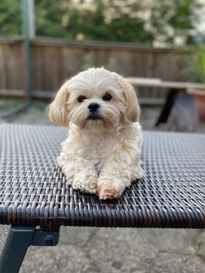 Lieblingsbild-Beitrag-Bild