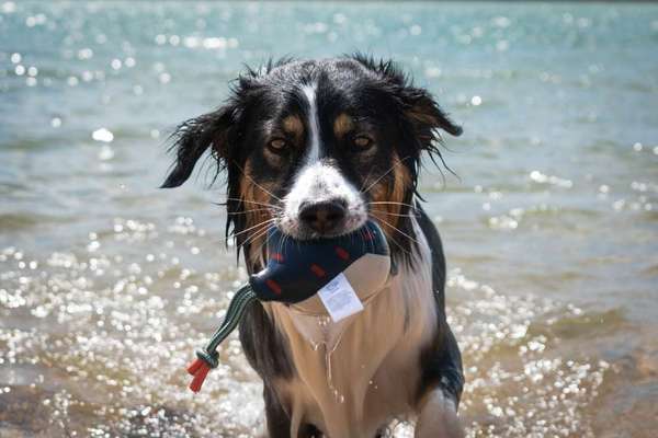 Foto Challenge Nr.133-Beitrag-Bild