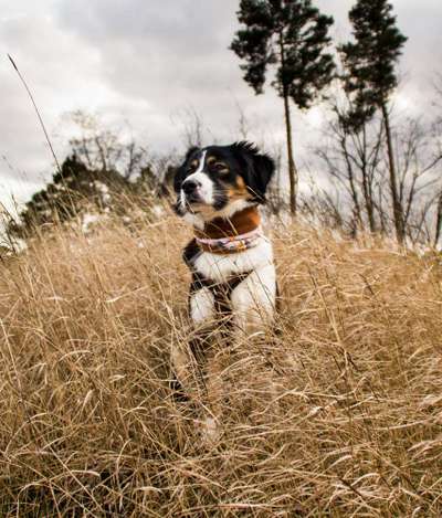 Lieblings Fotos-Beitrag-Bild