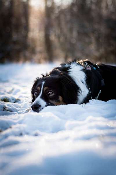 Austausch zur Fotografie-Beitrag-Bild