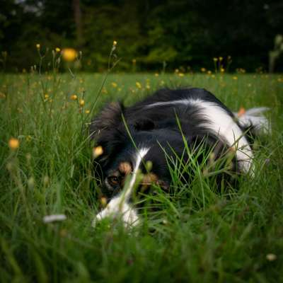 150. Foto Challaenge:  Die Augen, der Spiegel der Seele-Beitrag-Bild