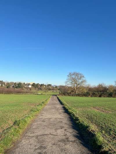 Hundeauslaufgebiet-Gonsenheim Feld-Bild