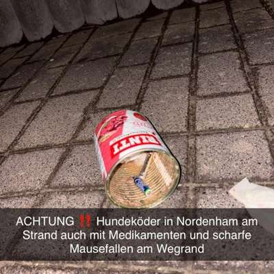 Giftköder-Giftköder-Bild