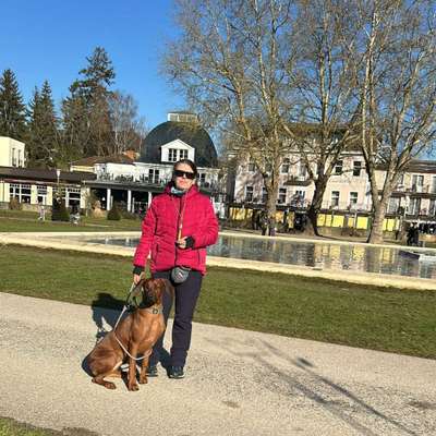 Marion's Profilbild