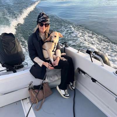 Hundetreffen-Spielkameraden gesucht