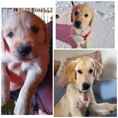 Sie werden so schnell groß!-Beitrag-Bild