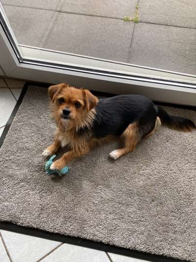 Lieblingsbild :D-Beitrag-Bild