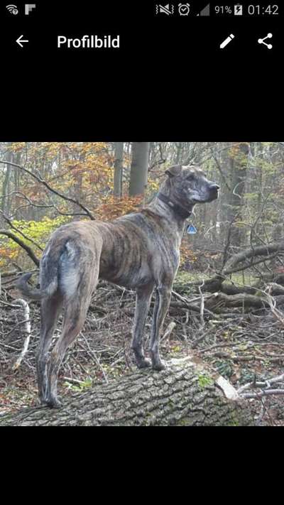 Theos  Fotochallenge Nummer 2-Beitrag-Bild