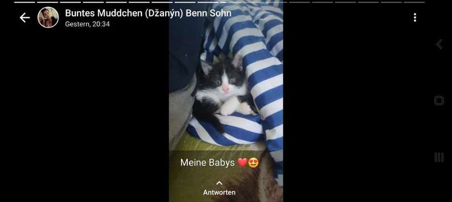 Foto Challenge Nr. 137 - Lass die Ohren fliegen-Beitrag-Bild