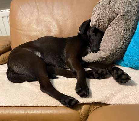 Foto Challange Nr.80-Beitrag-Bild