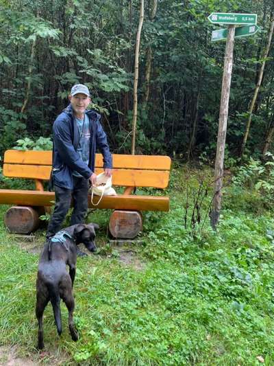 Hundeauslaufgebiet-Rundwanderwege im Wald-Bild