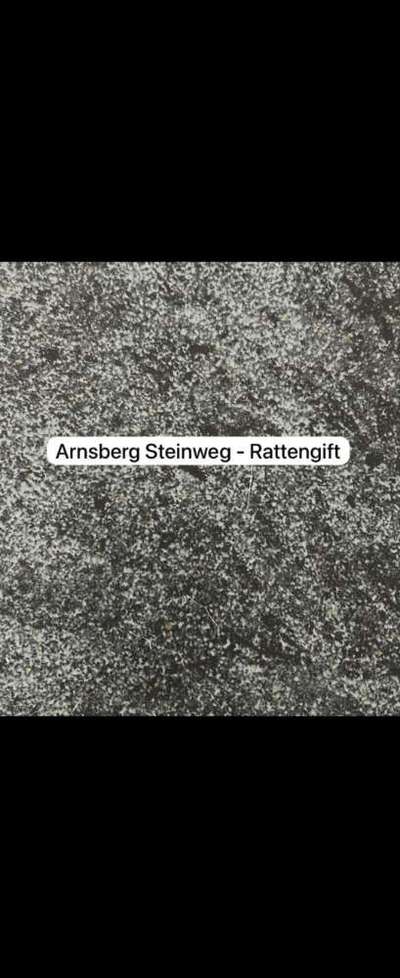 Giftköder-Rattengift-Bild