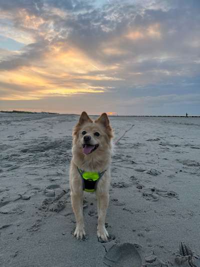 Blut im Kot-Beitrag-Bild