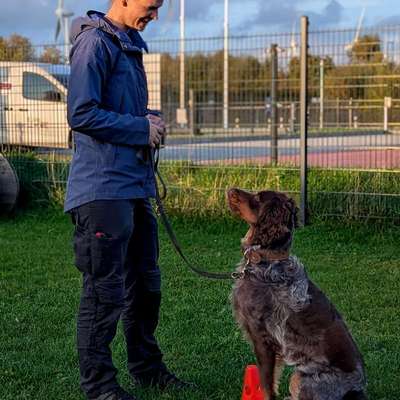 Hundetreffen-Trainingskumpel-Bild