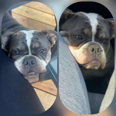 150. Foto Challaenge:  Die Augen, der Spiegel der Seele-Beitrag-Bild