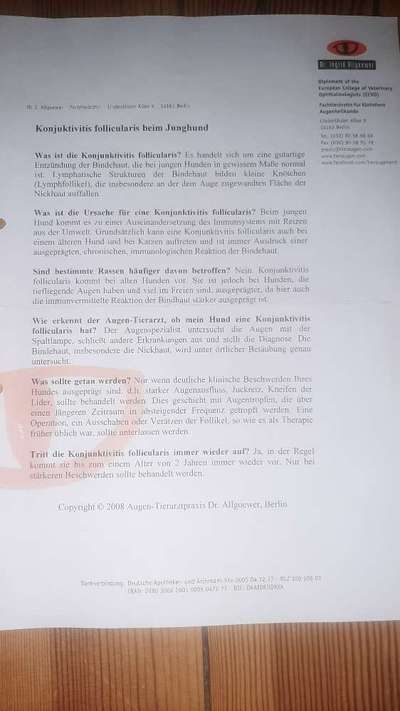 Bindehautentzündung-Beitrag-Bild