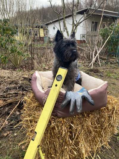 Fotowettbewerb zum Thema "Sonne"-Beitrag-Bild