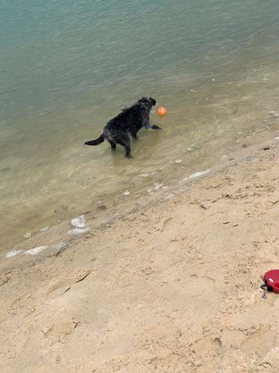 Dogorama-Monats-Challenge-Mai "Wasser"-Beitrag-Bild