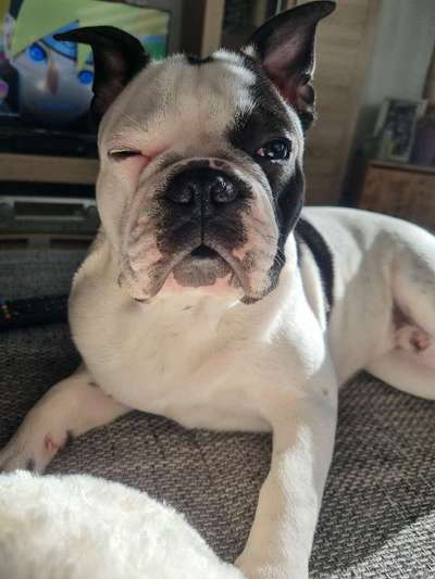 Her mit dem Grimassen-Beitrag-Bild