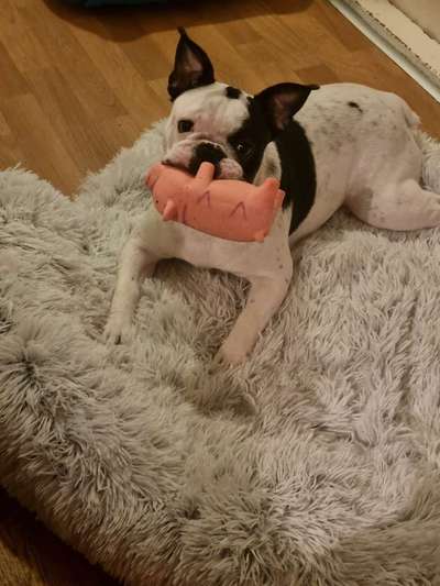 Fotochallenge Nr. 64-Beitrag-Bild