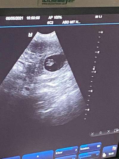 Fotochallenge Nr.65-Beitrag-Bild