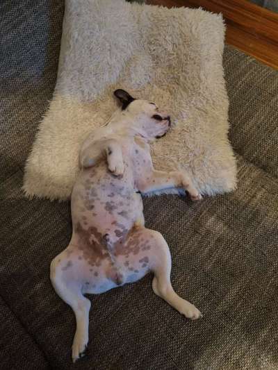 Fotochallenge Nr.65-Beitrag-Bild