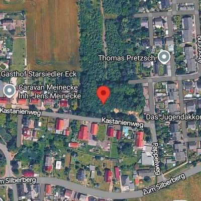 Giftköder-Glasscherben mit evtl. Lockstoff-Bild