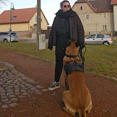 Hundetreffen-Training/Gassi