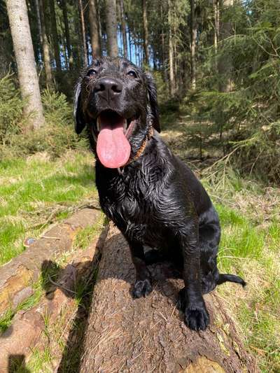 Tongue Out Tuesday-Beitrag-Bild