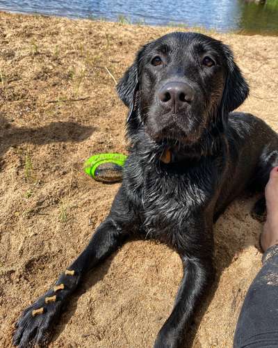 Fotochallenge Glanzbilder,du glänzt so schön-Beitrag-Bild