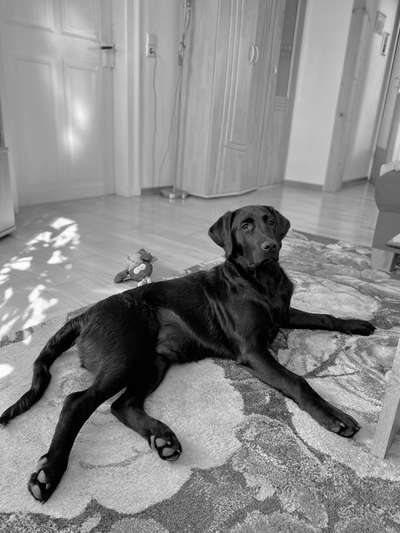 Foto-Challenge 76: Foto in Schwarz-Weiss-Beitrag-Bild