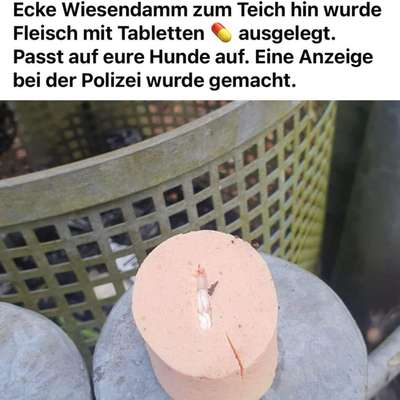 Giftköder-Giftköder gefunden! Achtung!-Bild