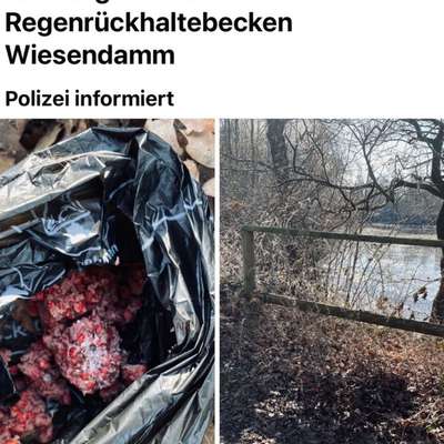 Giftköder-Giftköder gefunden! Achtung!-Bild