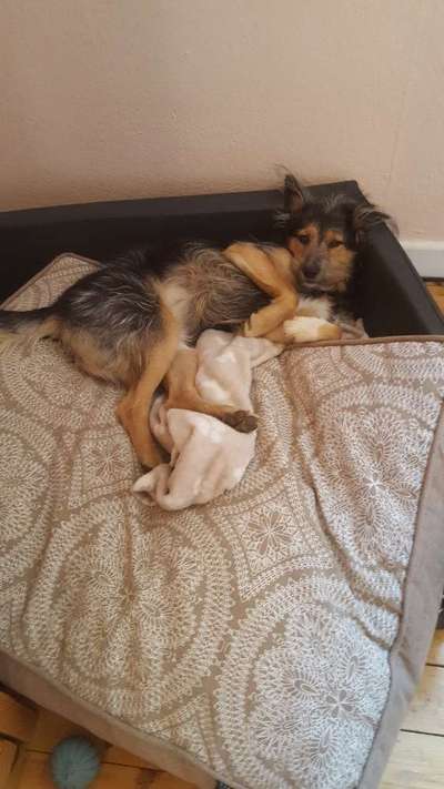 Lieblingsbild :D-Beitrag-Bild