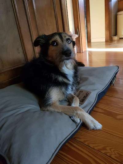 Lieblingsbild :D-Beitrag-Bild