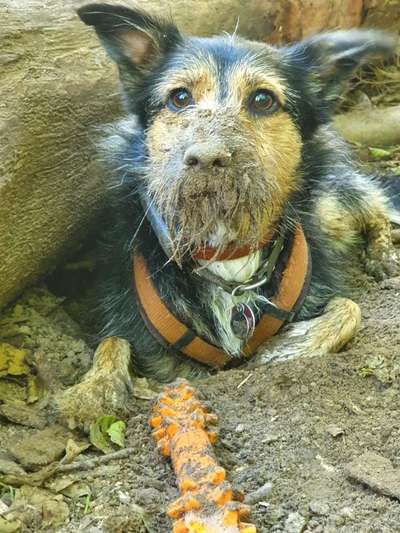 Theos  Fotochallenge Nummer 2-Beitrag-Bild